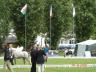 Mezinárodní výstava Welsh pony a cob v pardubicích 2010