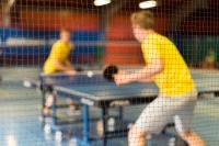 Ping pong ve Vendryni