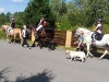 Tábory 2017 ve Stáji Vitality